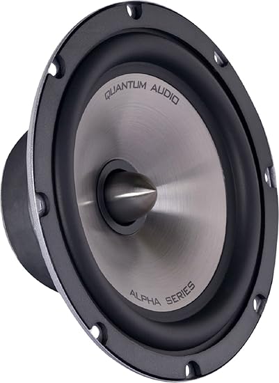 Quantum QAW10D2 Alpha Series 10-Inch 2 Ohm DVC Subwoofer