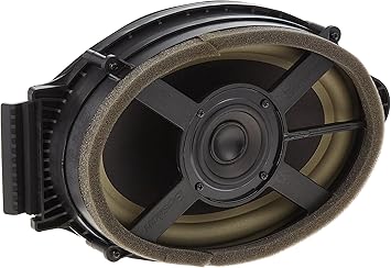 GM Genuine Parts 23268031 Rear Radio Speaker