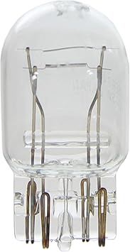 Wagner Lighting BP7443 Standard Multi-Purpose Light Bulb Card of 1