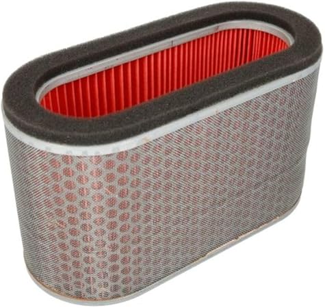 Hiflofiltro HFA1923 Premium OE Replacement Air Filter, Black