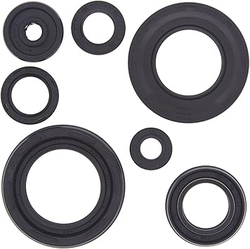 Vertex-Winderosa 822154 Engine Oil Seal Kit Compatible with/Replacement for Polaris Sportsman Touring 500 EFI 500cc 2008-2013