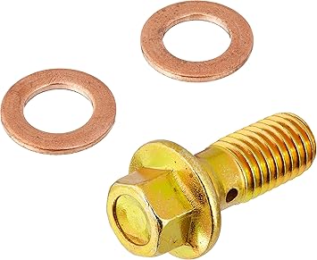 Carlson Quality Brake Parts H9458-2 Inlet Bolt