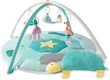 Simple Joys by Carter's Play Gym, by The Sea, One Size