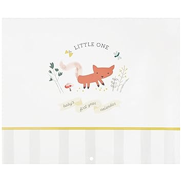 C.R. Gibson BA3-24546 Little One Woodland Gender Neutral Baby's First Year Keepsake Calendar, 11