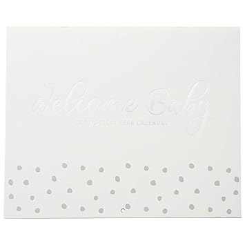 C.R. Gibson BA3-24591 Gender Neutral Welcome Baby's First Year Keepsake Calendar, 11