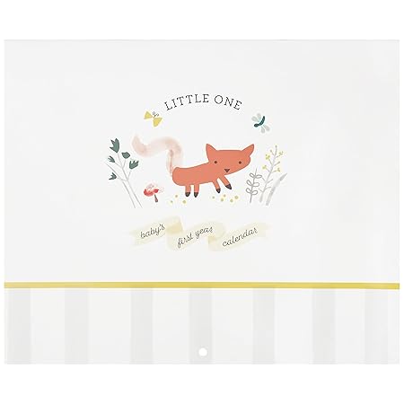 C.R. Gibson BA3-24546 Little One Woodland Gender Neutral Baby's First Year Keepsake Calendar, 11