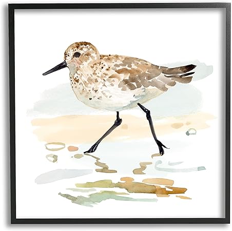 Stupell Industries Sandpiper Stepping on Shore Framed Giclee Art by Victoria Barnes