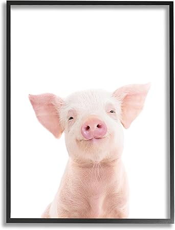 Stupell Industries Smiling Pink Pig Black Framed Giclee Art Design by Sisi and Seb