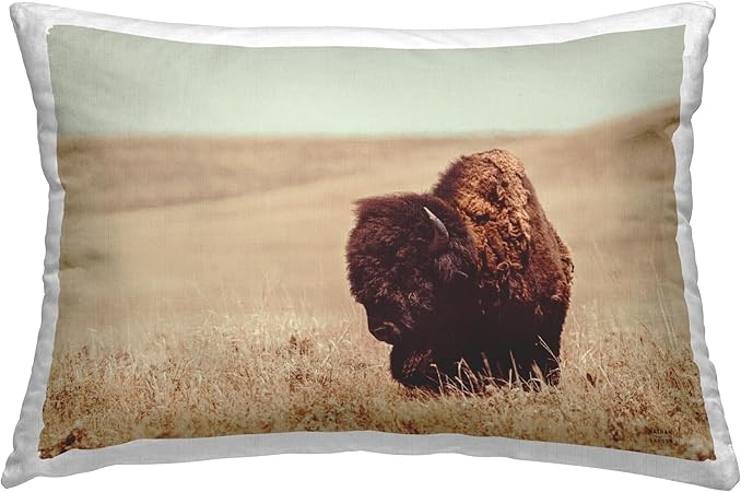 Stupell Industries Bison Country Pasture Design by Nathan Larson Throw Pillow, 14 x 20, Tan