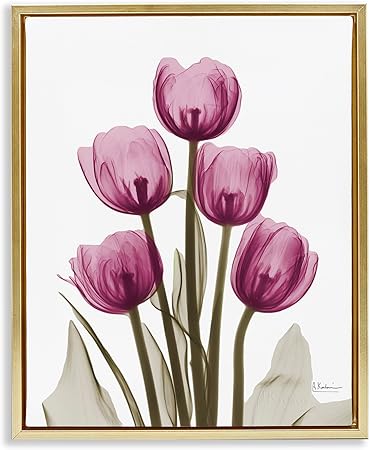 Stupell Industries Pink X-Ray Tulips Framed Floater Canvas Wall Art by Albert Koetsier