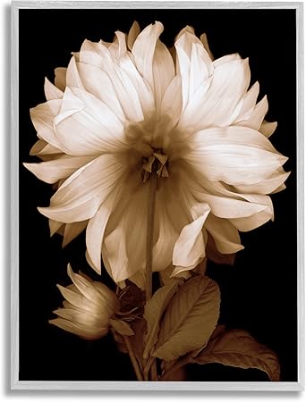 Stupell Industries Modern Sepia Mum Flower Framed Giclee Art, Design by Caroline Kelly