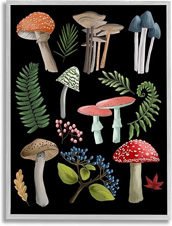 Stupell Industries Woodland Botanicals on Black Framed Giclee Art by Regina Moore