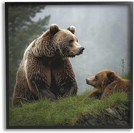 Stupell Industries Bear & Cub Relaxing Framed Giclee Art by Lazar Studio