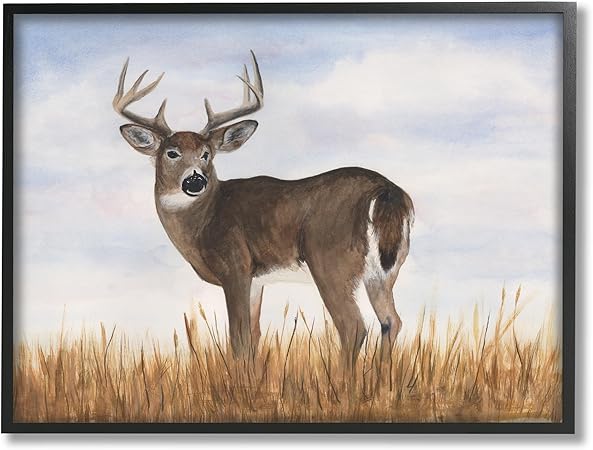 Stupell Industries Deer in Country Grass Framed Giclee Art by Michael Willett