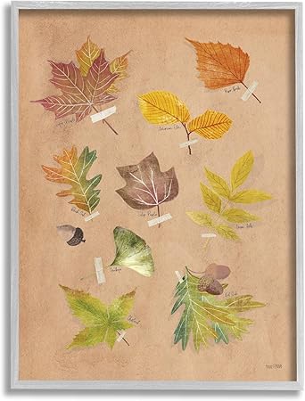 Stupell Industries Woodland Leaf Studies Gray Framed Giclee Art Design by House Fenway