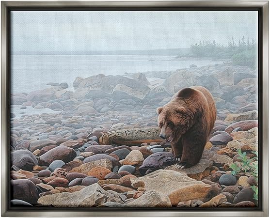 Stupell Industries Bear on Rocky Shore Gray Framed Floater Canvas Wall Art Design by Clinton Jammer