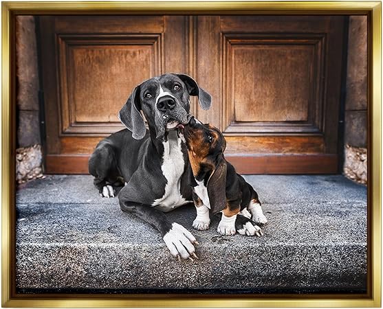 Stupell Industries Dogs on Doorstep Framed Floater Canvas Wall Art by Natalie Grosse