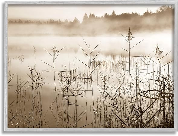 Stupell Industries Sepia Foggy Lake View Framed Giclee Art by Irene Weisz