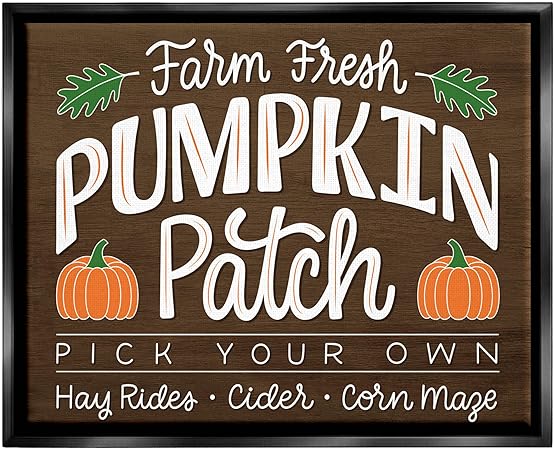 Stupell Industries Farm Fresh Pumpkin Patch Sign Floating Framed Wall Art, Design by Jalynn Heerdt