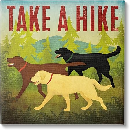 Stupell Industries Take a Hike Phrase Canvas Wall Art Design by Ryan Fowler