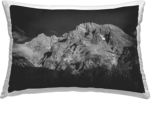 Stupell Industries Foggy Mountain Peak Design by Daniel Sproul Throw Pillow, 14 x 20, Grey