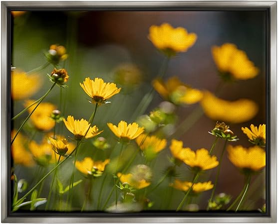 Stupell Industries Yellow Daisy Wildflower Field Floating Framed Wall Art, Design by Aaron Matheson