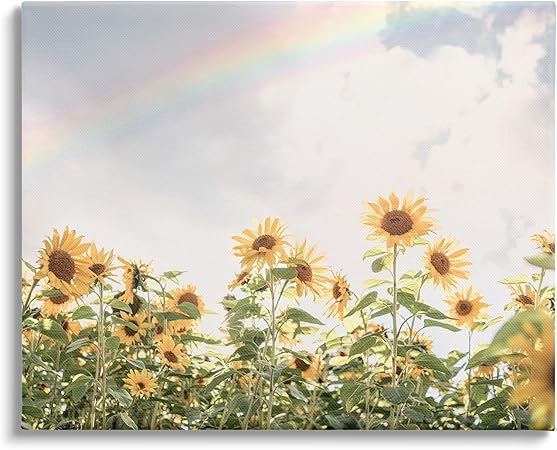 Stupell Industries Rainbow over Sunflowers Canvas Wall Art Design by Sisi and Seb