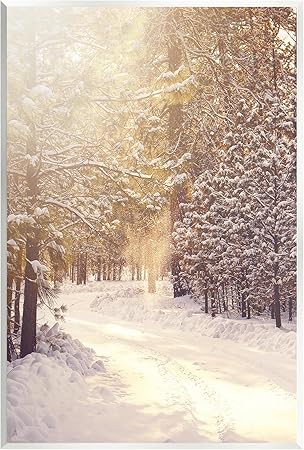 Stupell Industries Snowy Winter Path Wall Plaque Art Design by Leah Straatsma