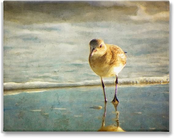 Stupell Industries Stepping Sandpiper at Shore Canvas Wall Art by GraffiTee Studios