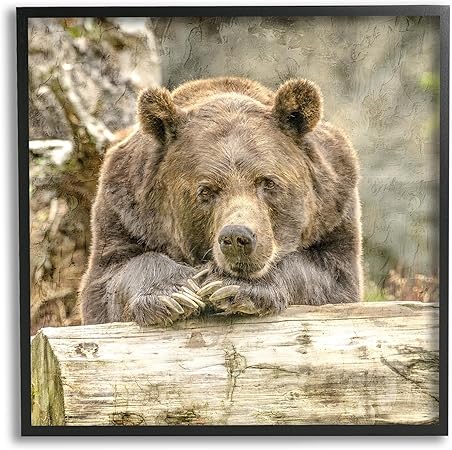 Stupell Industries Bear Resting on Log Framed Giclee Art by Kim Allen