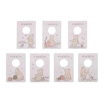 Disney Classic Winnie The Pooh Ivory, Tan, and Sage Nursery Baby Closet Dividers - Set of 7 Newborn to 24 Months