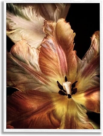 Stupell Industries Tulip Petals Detail White Framed Giclee Art Design by Debra Van Swearingen