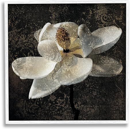 Stupell Industries Rustic Magnolia Flower Framed Giclee Art by John Seba