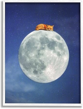 Stupell Industries Fox Sleeping Night Sky Moon Framed Wall Art, Design by Carrie Ann Grippo-Pike