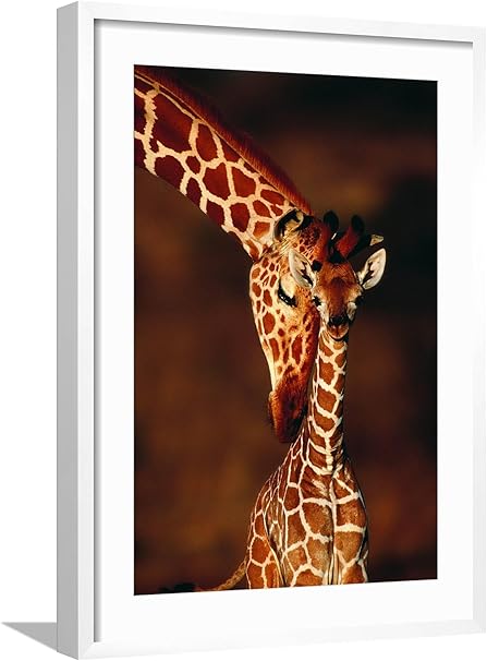 ART.COM Framed Wall Art Prints Giraffe and Baby by Lantern Press, Animals Decor, 16