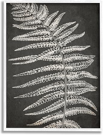 Stupell Industries Fern Leaf on Framed Giclee Art by Ros Ruseva