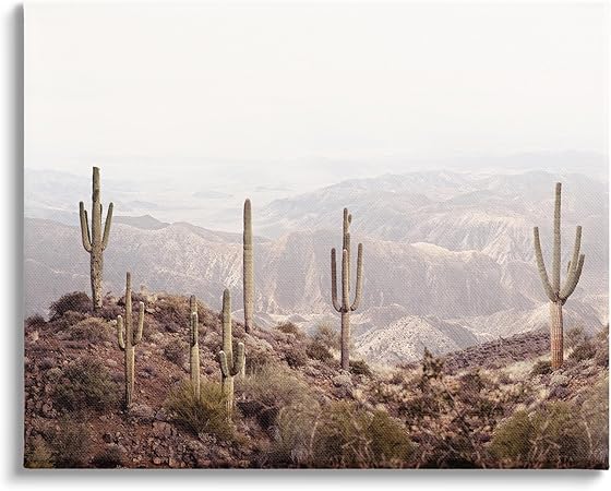 Stupell Industries Cacti Overlooking Desert Canvas Wall Art Design by Sisi and Seb