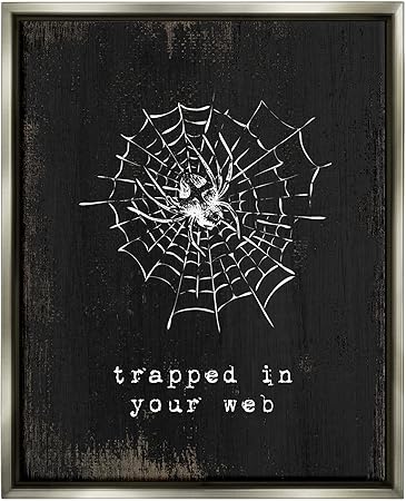 Stupell Industries Trapped In Your Web Spider Floating Framed Wall Art, Design by Lil' Rue