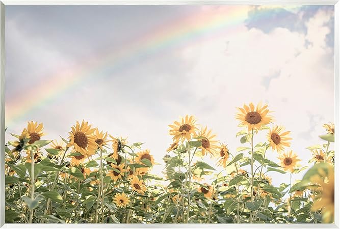 Stupell Industries Rainbow over Sunflowers Wall Plaque Art Design by Sisi and Seb