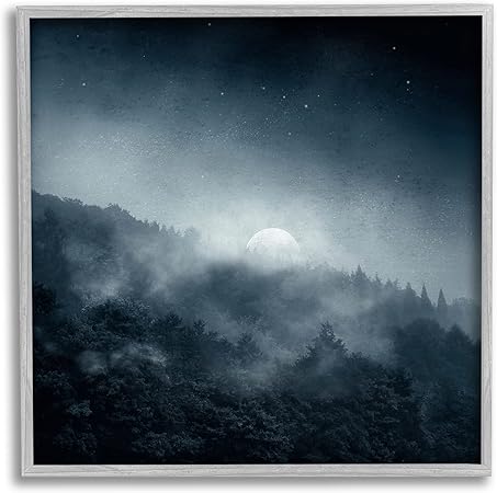 Stupell Industries Foggy Full Moon Night Sky Framed Giclee Art, Design by Dirk Wustenhagen