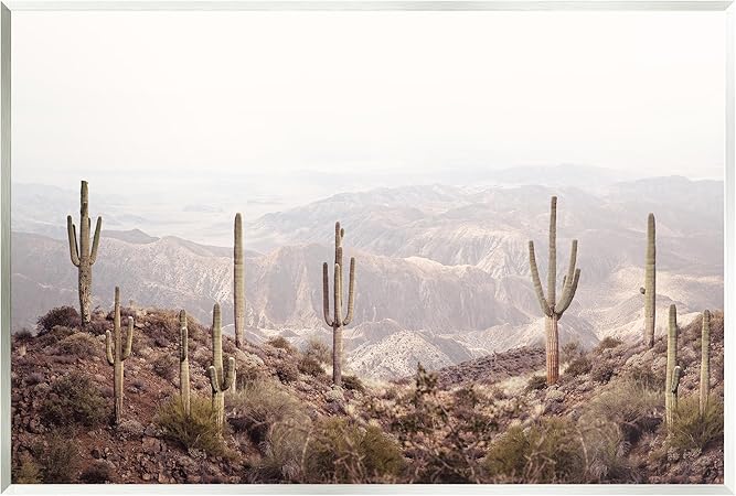 Stupell Industries Cacti Overlooking Desert Wall Plaque Art Design by Sisi and Seb