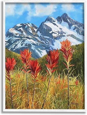 Stupell Industries Alpine Mountain Valley Framed Giclee Art by © Andrew Kiss