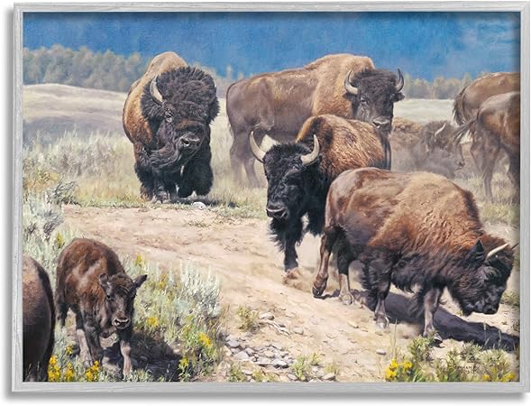 Stupell Industries Commander In Chief Bison Herd Framed Giclee Art, Design by David Graham