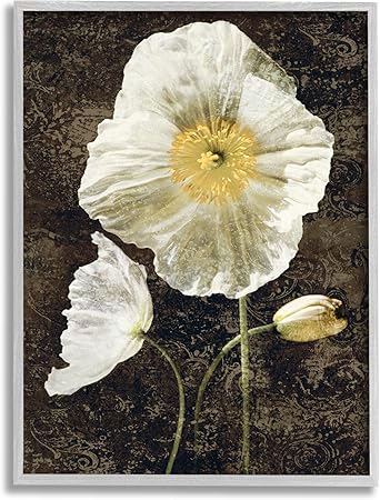 Stupell Industries Rustic White Poppies Framed Giclee Art by John Seba