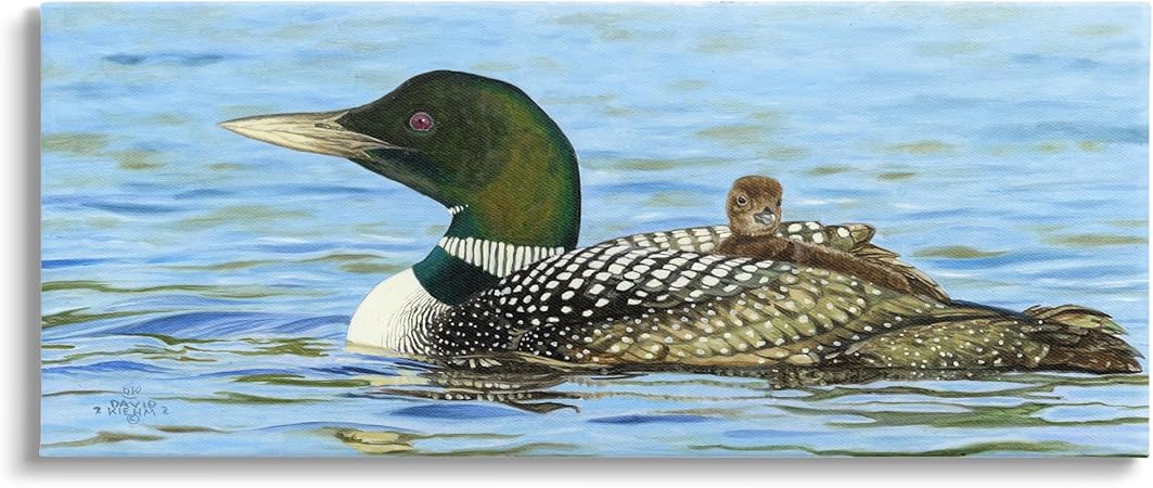 Stupell Industries Mallard & Duckling in Water Canvas Wall Art by © David Graham