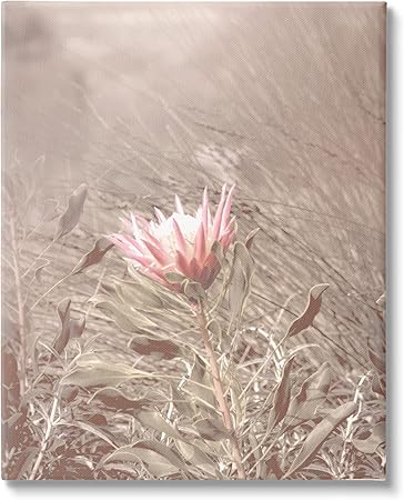 Stupell Industries Lone Pink Flower Grassland Canvas Wall Art, Design by Lil' Rue