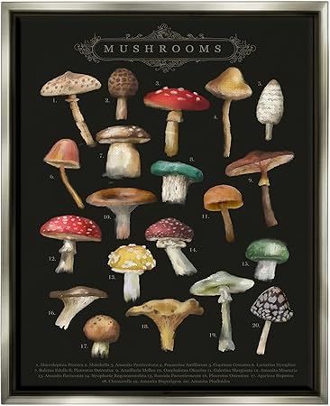 Stupell Industries Dark Informative Mushroom Chart Framed Floater Canvas Wall Art, Design by Amylee Weeks