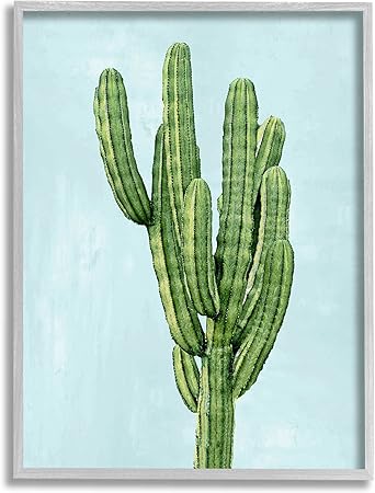 Stupell Industries Desert Cactus Blue Sky Giclee Framed Wall Art, Design by Mia Jensen