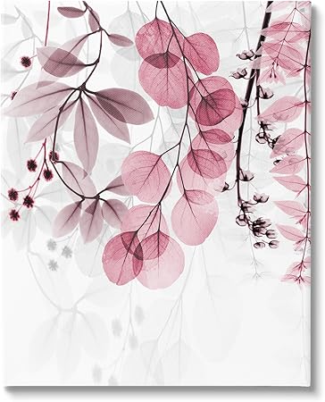 Stupell Industries Vivid Matter Botanicals Canvas Wall Art Design by Albert Koetsier