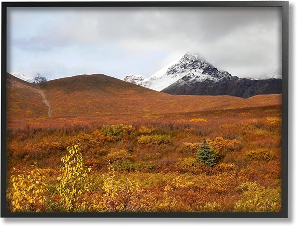 Stupell Industries Meadow with Distant Peak Framed Giclee Art by Daniel Sproul